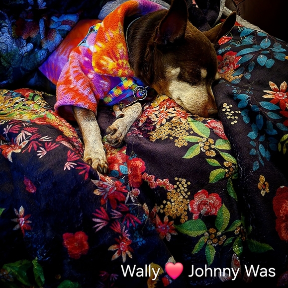 Johnny Was Workshop Nadia Embroidered White Peasant Blouse Medium NWOT - Picture 15 of 16